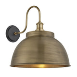 Swan Neck Outdoor & Bathroom Dome Wall Light - 17 Inch