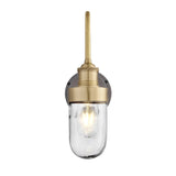 Swan Neck Outdoor & Bathroom Wall Light