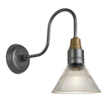 Swan Neck Glass Funnel Wall Light - 7 Inch