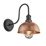 Swan Neck Outdoor & Bathroom Dome Wall Light - 8 Inch
