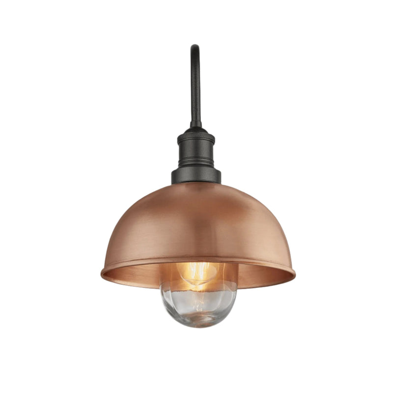 Swan Neck Outdoor & Bathroom Dome Wall Light - 8 Inch