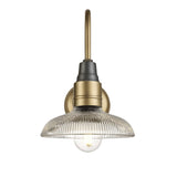 Swan Neck Glass Dome Wall Light - 8 inch