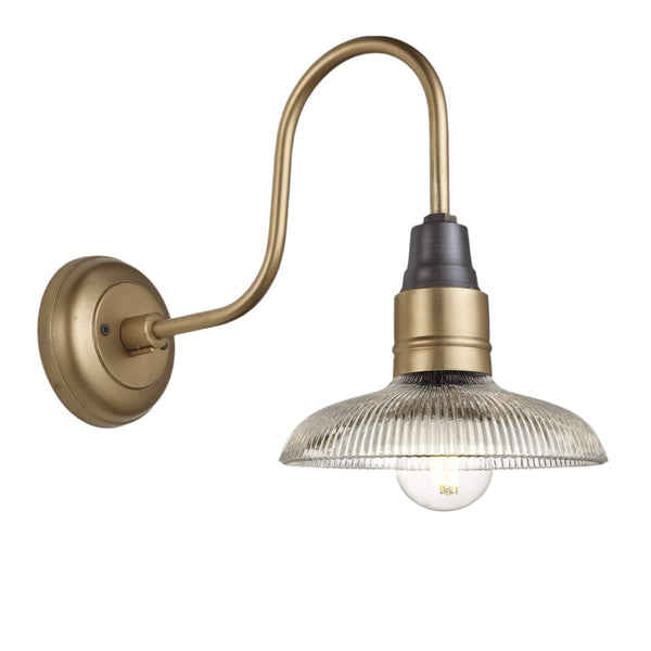 Swan Neck Glass Dome Wall Light - 8 inch
