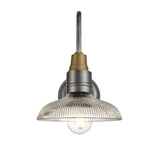 Swan Neck Glass Dome Wall Light - 8 inch
