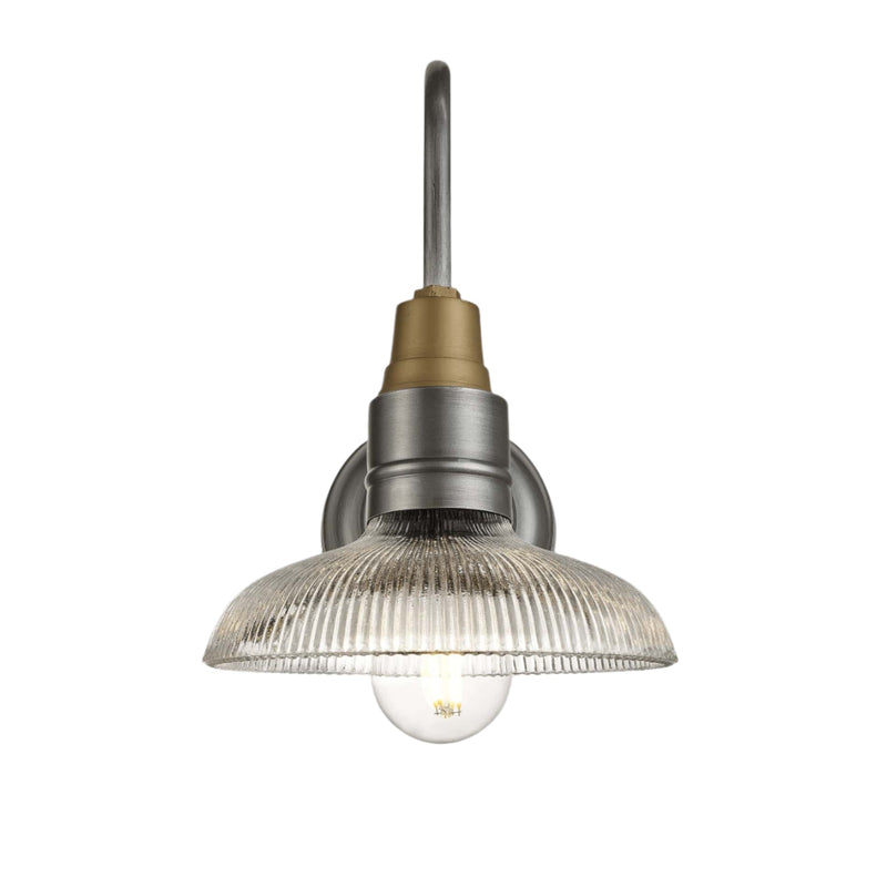Swan Neck Glass Dome Wall Light - 8 inch