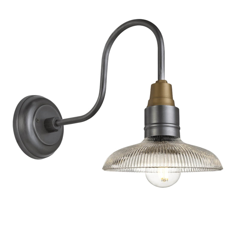 Swan Neck Glass Dome Wall Light - 8 inch