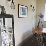 Brooklyn Balloon Cage Wall Light - 6 Inch