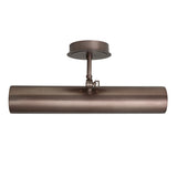 Albany Picture Wall Light