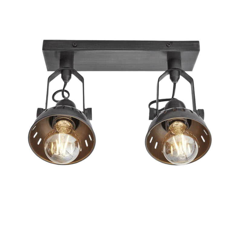 Swivel Spotlight Flush Mount - Double - Pewter