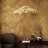 Raffia Ceiling Pendant Light - Hat