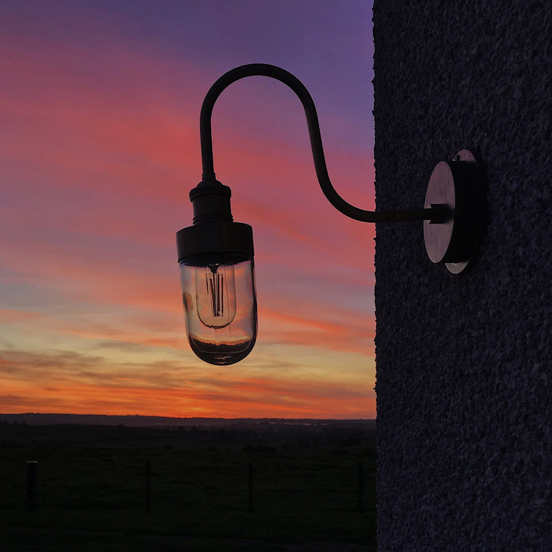 Swan Neck Outdoor & Bathroom Wall Light