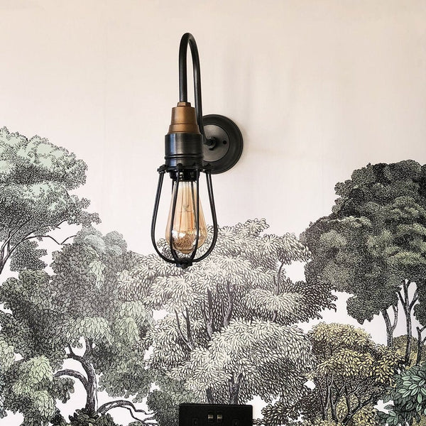 Swan Neck Wire Cage Wall Light - 4 Inch